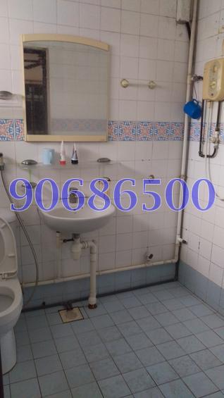 Blk 495E Tampines Street 43 (Tampines), HDB Executive #101036622
